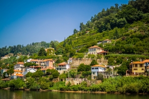 Portugal - Douro Valley in Porto Portugal