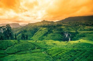 Sri Lanka - Waterfall Landscape