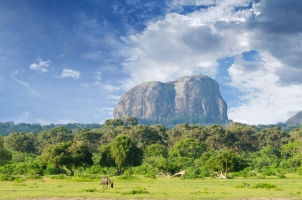Sri Lanka - Yala National Park