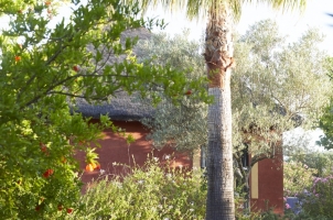 Hacienda De San Rafael - Casita suite garden