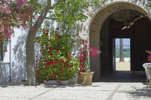 Hacienda De San Rafael - Courtyard